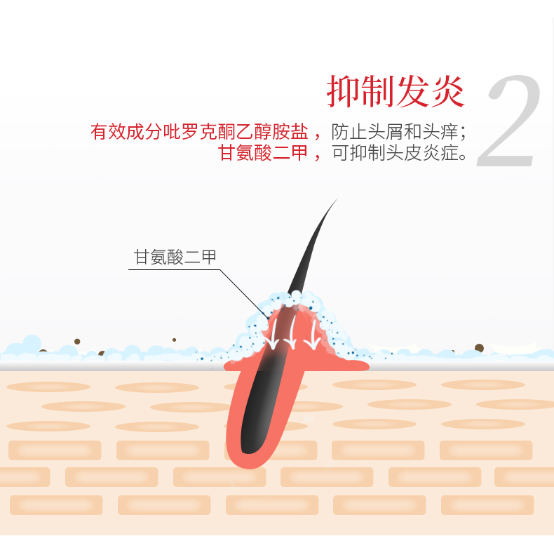 日本进口 狮王 毛发力 双重修复净化头皮防脱洗发水 200ml*2瓶 图3