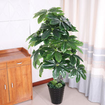 Fortune tree simulation green plant fake tree Indoor living room floor decoration simulation plant bonsai load ornaments Plastic fake flowers