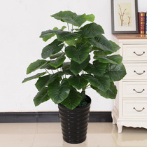 Fake tree Fortune tree Simulation green plant Plastic fake flower Indoor living room floor-to-ceiling decoration potted plant arrangement Plant anthurium