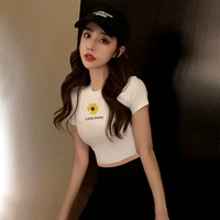 Белая маленькая ромашка 5