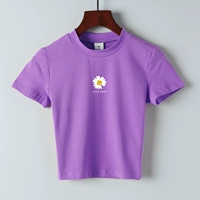 Фиолетовая маленькая ромашка 2