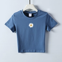 Haze Blue Little Daisy 3