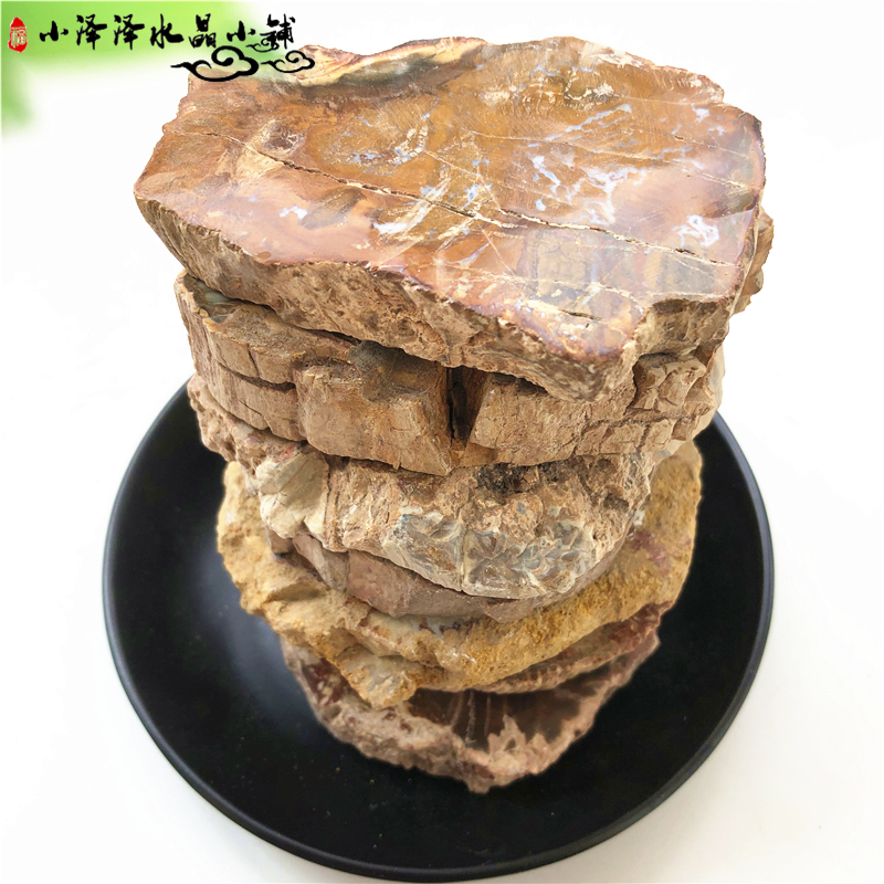 Natural Wood Fossil Small Slices Wooed Jade Tree Fossil Raw Stone Chite Landscape Sheet Mineral Specimen Small Pieces