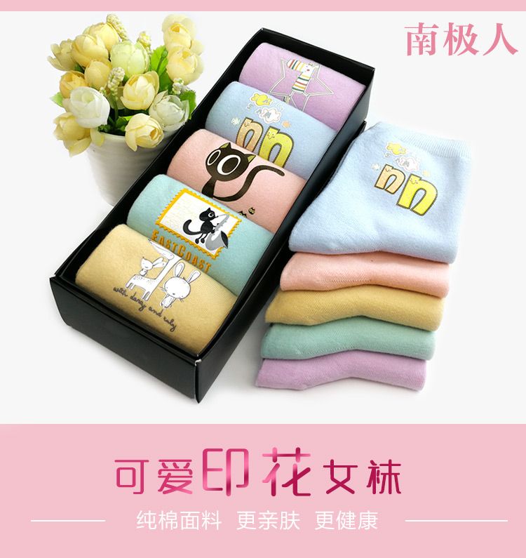 Nam cực vớ cotton nữ mùa thu ống summer socks triều Hàn Quốc thoáng khí dễ thương in 5 đôi hộp quà tặng vớ cotton