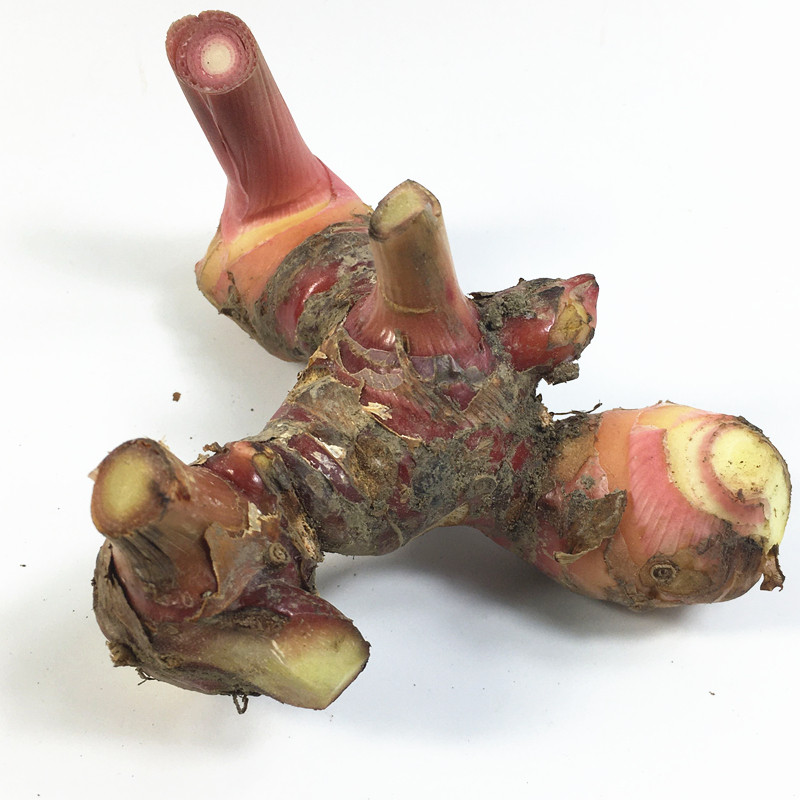 Vietnamese varieties of south ginger 500 grams of 1 catty Chaoshan fresh mountain ginger Shantou beef hot pot to taste seasoning products