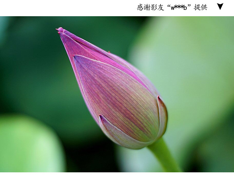 七工匠25 1.8大光圈微单镜头小痰盂e卡口佳能