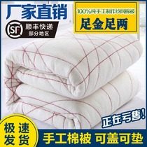 Cotton quilt student dormitory mattress quilt single cotton quilt quilt core spring autumn and winter quilt thickened 10 pounds quilt