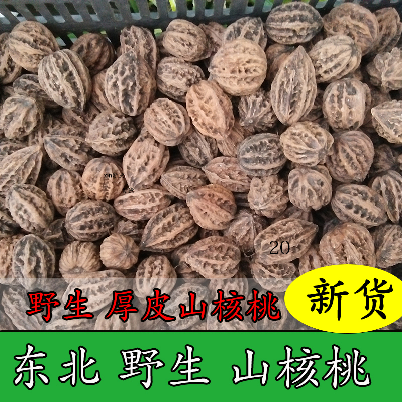 Northeast wild hickory, thick-skinned walnut, wild walnut hickory, catalpa walnut, new hickory