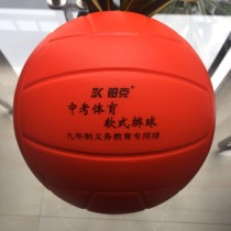 Platinum sponge soft volleyball inflatable-free primary and secondary school students in the test match training PU ball special can be wholesale