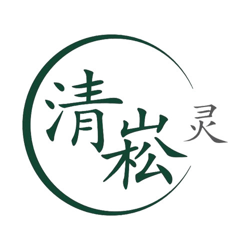清崧灵洗发水医疗科技有限公司企业店
