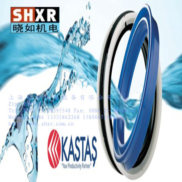 K33 45 * 55 * 10 KASTAS KASTAS OIL SEAL KASTAS SEAL IMPORT SEAL