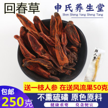 New Yunnan Rejuvenation Grass Everlasting Grass 250g Grass Cistanches Top Tianzhu Special Grade Rejuvenation Grass Wine Ingredients