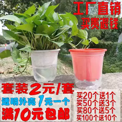 加厚透明外殼黃金葛透明花盆黃金葛殼自動吸水盆免澆水存水盆接水盆