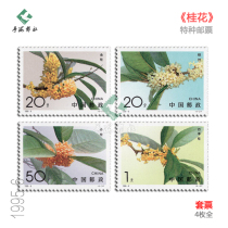 1995-6 Osmanthus special stamps fidelity original rubber full factory inscription set four-party souvenir sheet philatelic collection