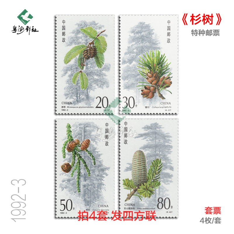 Guangdong Postal Society 1992-3 Cedar Tree Special Plant Stamp Factory Seal Quadrilateral Set Full Set Guaranteed Authenticity Permanent Collection Philatelic Collection