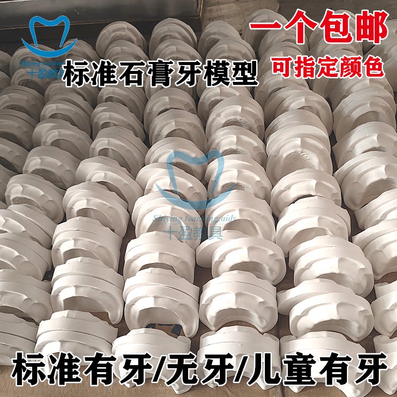 牙科材料假牙标准石膏模型 有牙 无牙 全口超硬石膏模型 口腔教学
