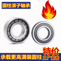 RSGZ high load-bearing full complement cylindrical roller high temperature resistant bearing inner diameter 15 17 20 25 30 35 40MM