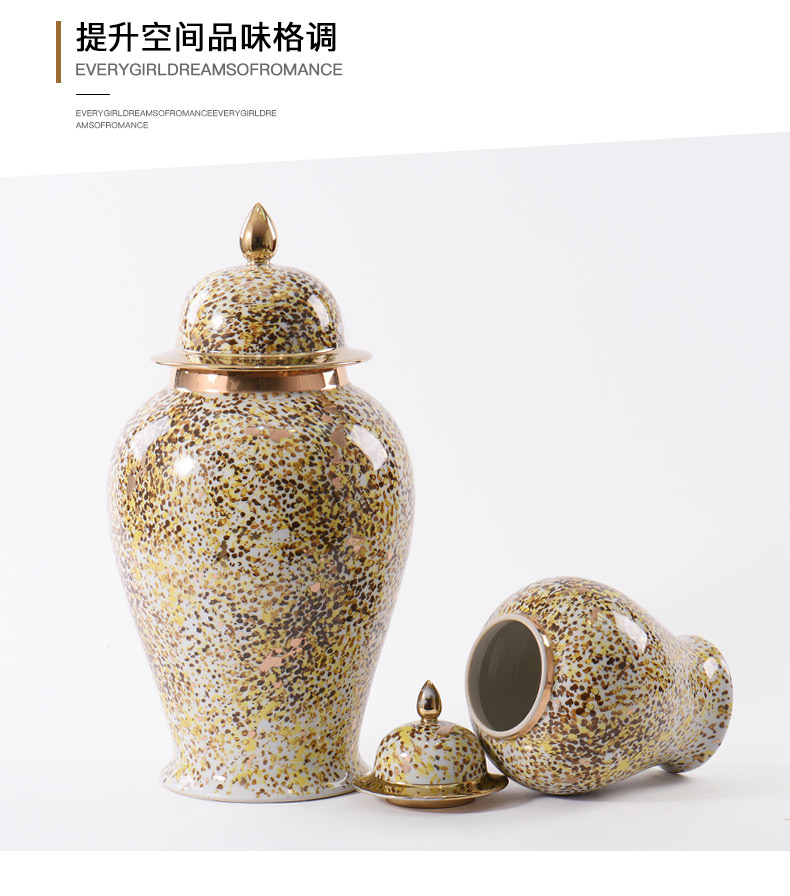 New Chinese style ceramic furnishing articles pass reveal ark, wine porch decoration ideas general pot vase soft outfit decoration coloured drawing or pattern