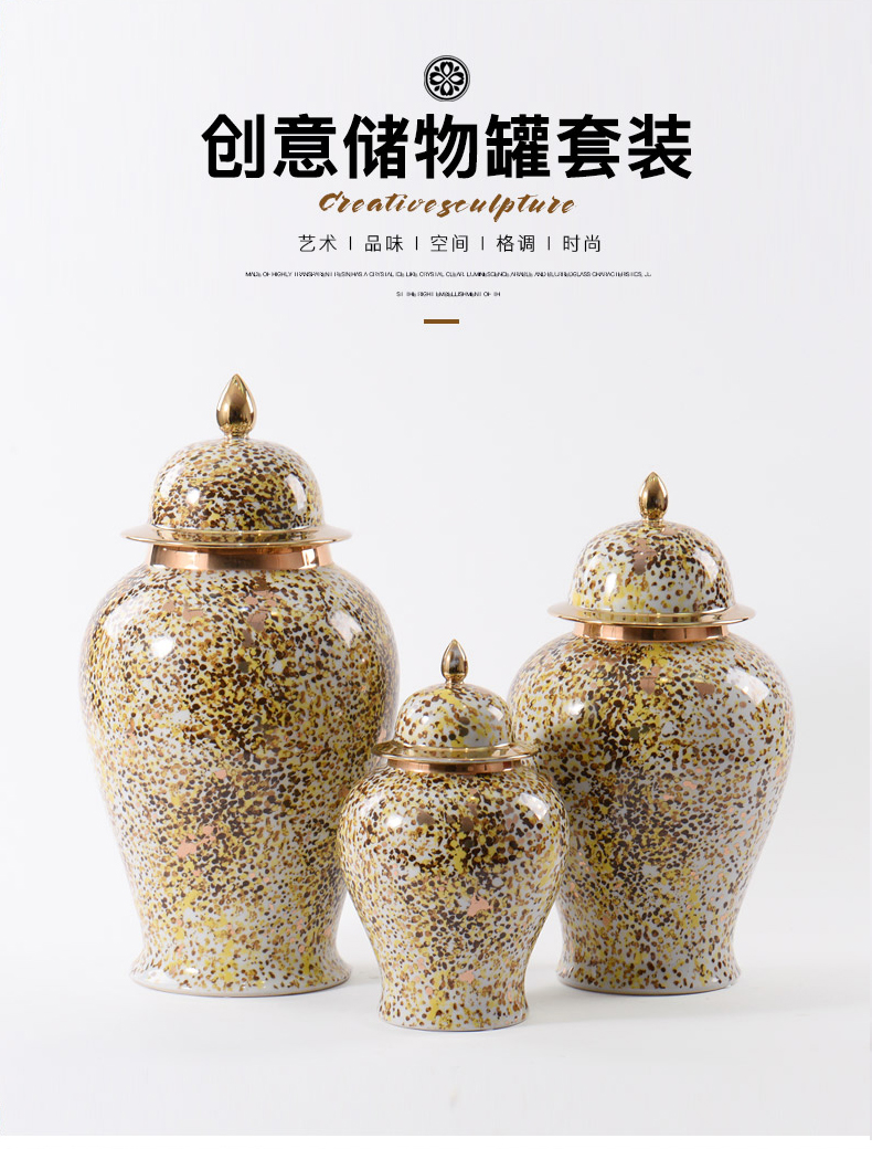 New Chinese style ceramic furnishing articles pass reveal ark, wine porch decoration ideas general pot vase soft outfit decoration coloured drawing or pattern