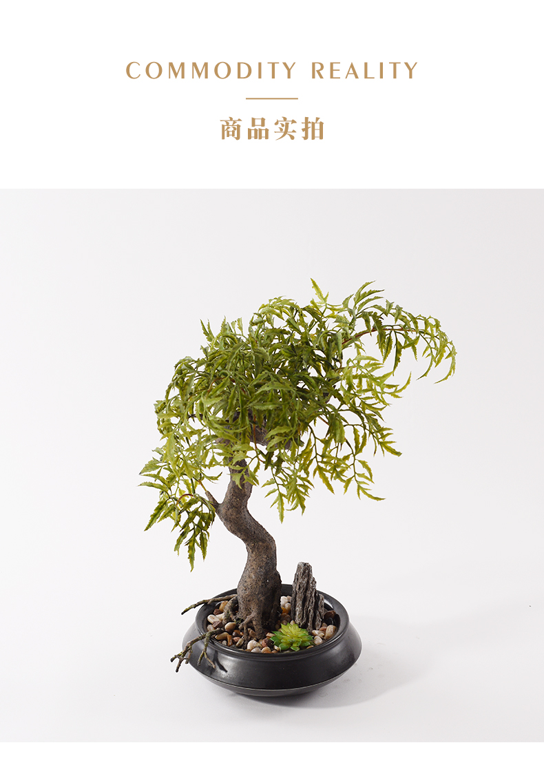 New Chinese style decoration office zen green the plants bonsai pottery pot pot porch pebble combination furnishing articles