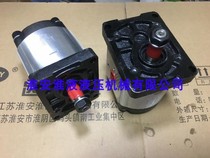 GHP2-D--4 8 11 14 16 20 25 Tapered shaft cast iron gear pump