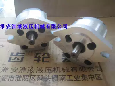 1AG1P01R 02R 03R 04R 0R5 06R 07R 08R 09R gear pump