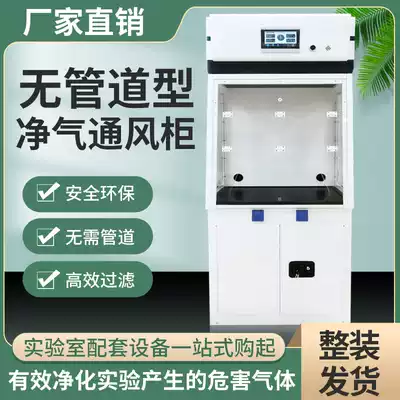 Clean gas laboratory all-steel fume hood without pipeline activated carbon filter exhaust purification safety test exhaust cabinet