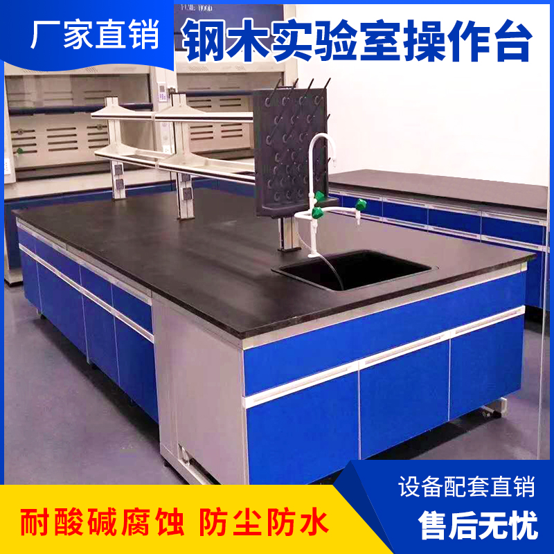 Laboratory workbench Steel-wood side table Laboratory central table Physical balance Chemical test operation All-steel fume hood