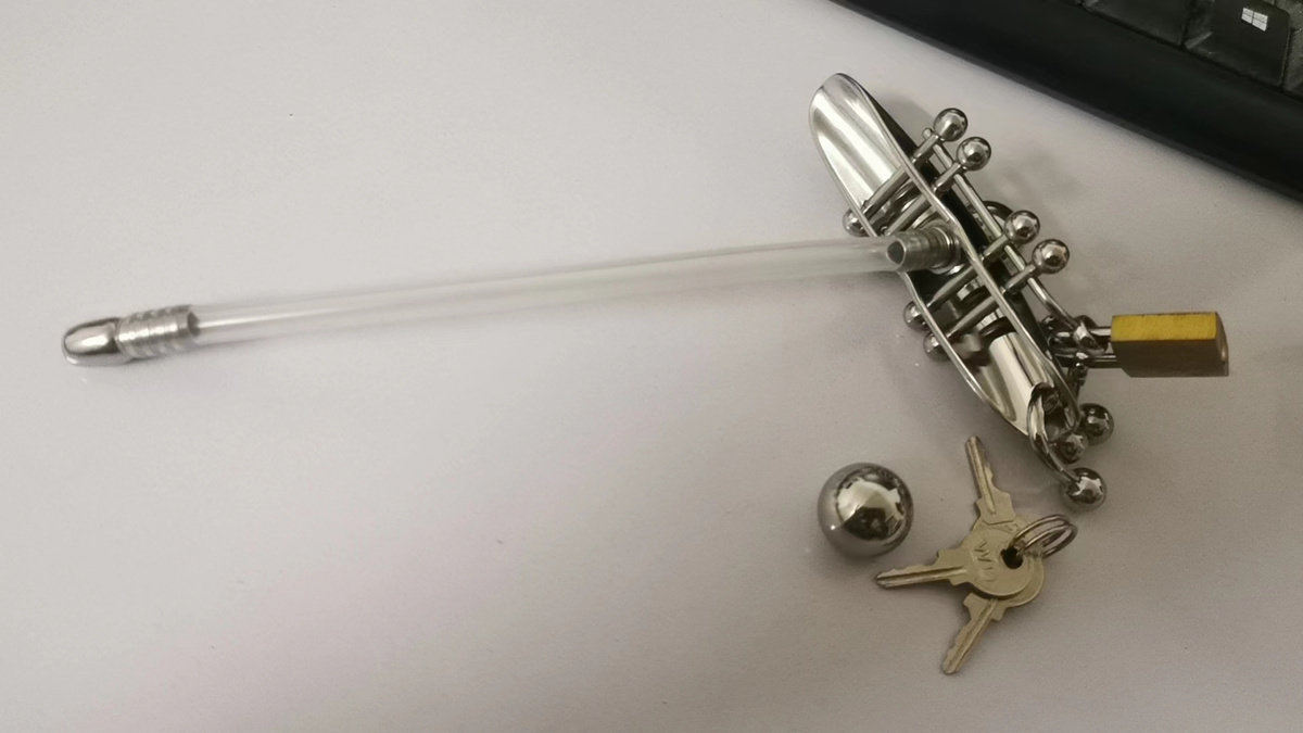 Titanium Steel Chastity Locking Women's Model Female Labia Lock Pa Anti ...