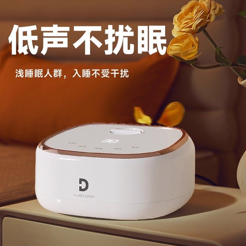 110V Foreign-Specific Water Heating Blanket for Export to Europe and America, Double-Person Water Circulation Electric Blanket, Automatic Power-Off Mattress, Small Size