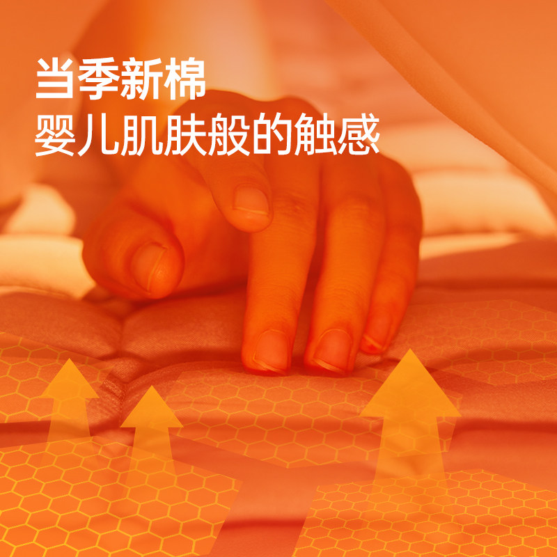 110V Electric Heating Blanket for Export, Water-Heated Electric Blanket for Export, Suitable for Two People, Automatic Power-Off Heating Pad