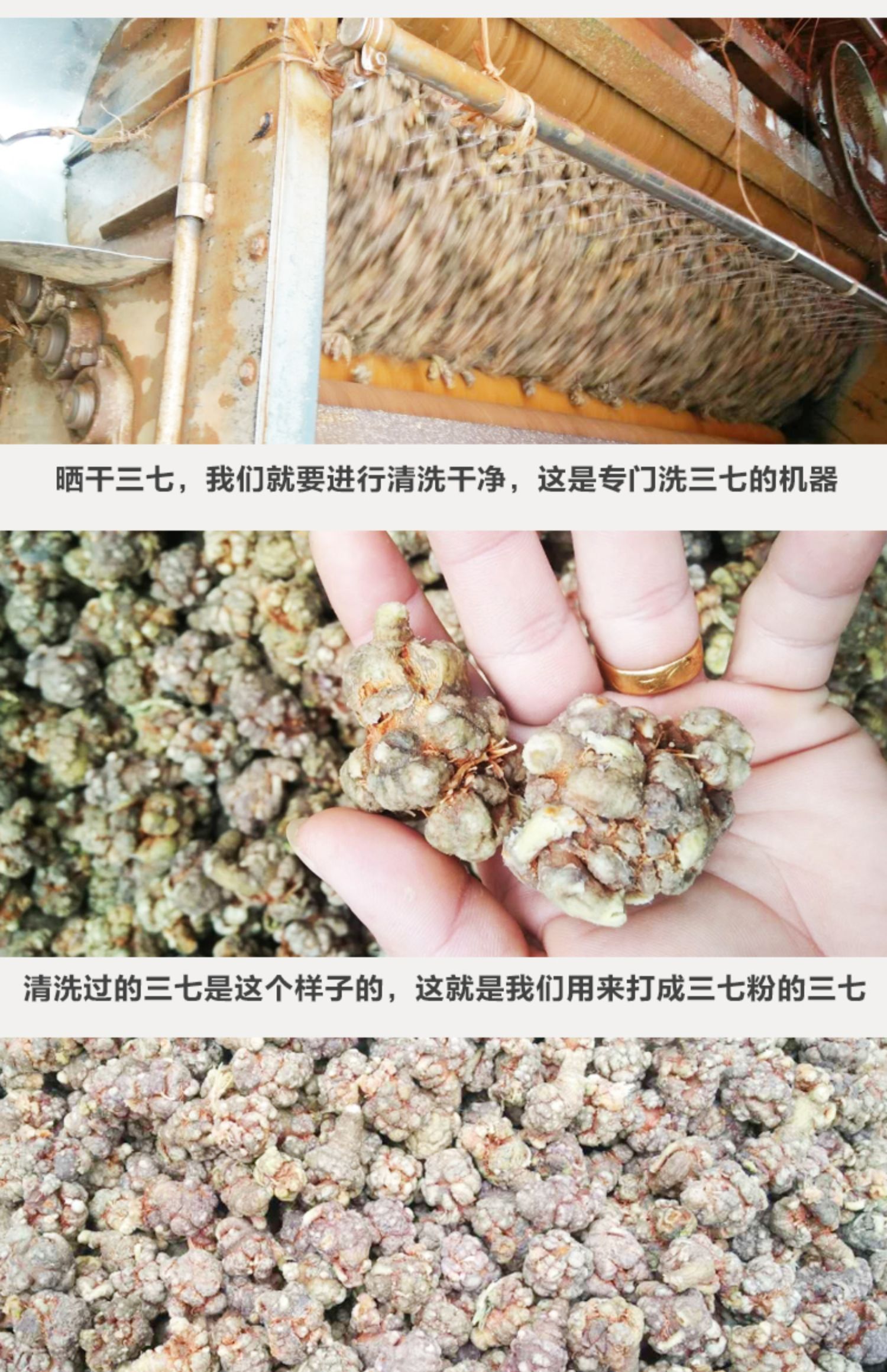 【稳定签到】纯三七粉特级250g