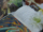 [Бесплатные четыре изысканных постера + Новый Фанвай] Руководство по стратегии Black Lotus, верхний и нижний комплект из 2 томов, резной лук Бай Ю, адаптированный по мотивам кино- и телевизионной драмы Юнъе Синхэ и книги "Стратегия истребительницы стражей", фантастического романа Больного Цзяо. mini 3