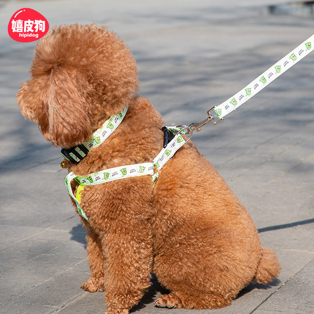 Dog Leash Vest Style Dog Walking Rope Dog Chain Collar Small Dog Dog Medium Teddy Corgi Pet Supplies