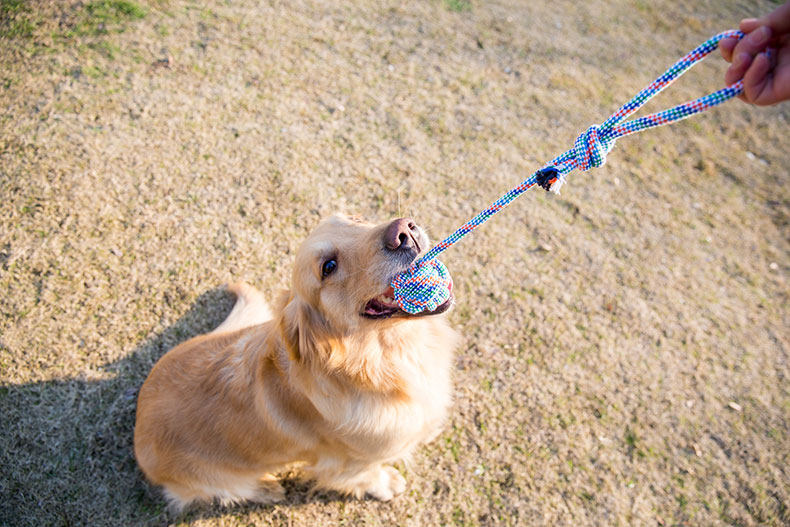 TB2EMXUBMTYBJSSPKXXBU8VXA _ !!