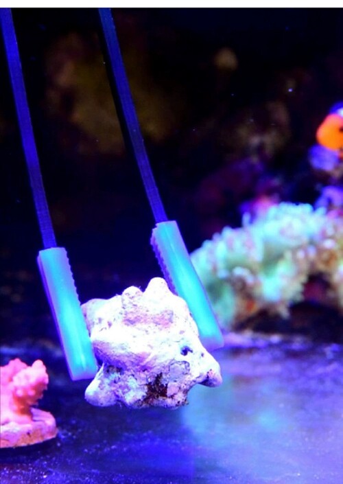 Оборудование для аквариума vastocean碳纤维49cm夹子塑料碳纤维防锈夹子珊瑚镊子珊瑚夹漂浮 Old fishing carpenter