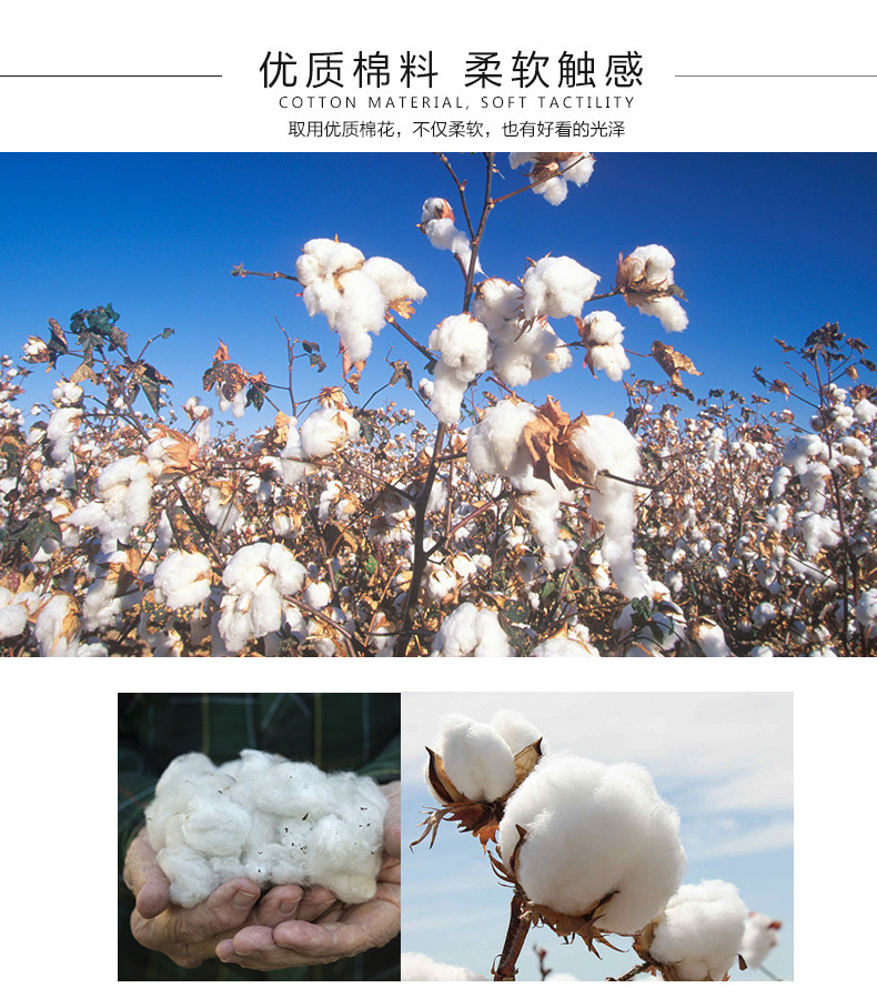 Chaussettes - collants xyf10042 - Ref 759506 Image 7