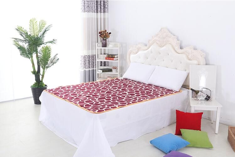 Chăn điện đơn đôi an toàn không có bức xạ ký túc xá hộ gia đình 1,8 m 2 m nhíp chống nước ba người điều khiển nhiệt kép 30