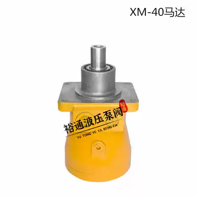 ZM-40 XCMG Rotary motor XM-F40L Axial piston pump (motor)XM-F75F crane special