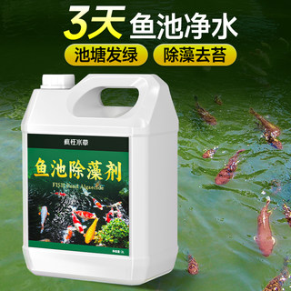 Algae Remover for Fish Ponds and Tanks, Moss Remover, Green Algae Remover, Safe Fish Protection, Removes Duckweed Completely