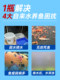 Water Quality Stabilizer for Fish Tanks, Fishlebao Nitrifying Bacteria, Dechlorinating Water Purifier, Tap Water Purification and Detoxification for Fish Farming