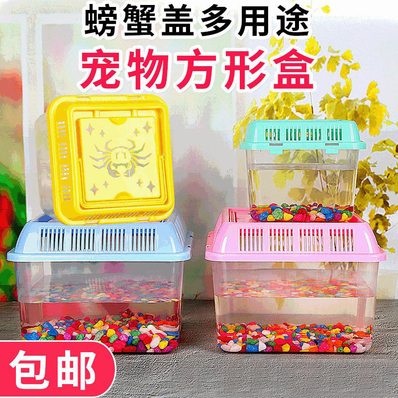 Large and small portable transparent plastic square fish box closed turtle raising pet box fish raising turtle box