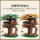 Подходит для творческой серии Lego Four Seasons Big tree house для мальчиков и девочек, крупномасштабных головоломок, собирающих строительные блоки, игрушки для украшения цветущей вишни mini 2