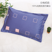 Pure Cotton Pillowcase Female Adult Pillow Headgear Pair Of Loaded Student Couple Cartoon Thickening Single 100% All cotton pillow core cover