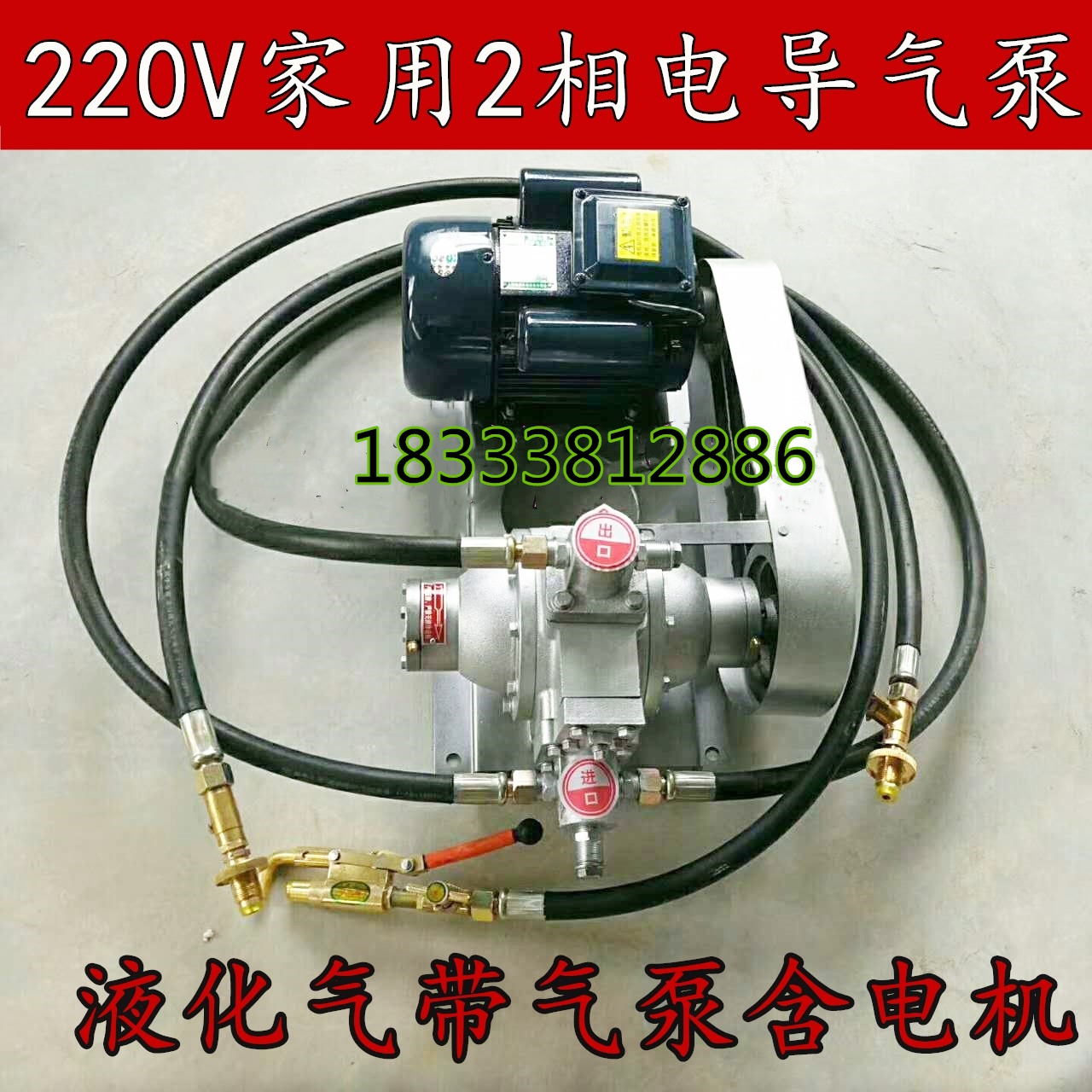220v liquefied gas pump guide air pump 48v vehicle inverted air pump 12 V cheer gas pump gas pump