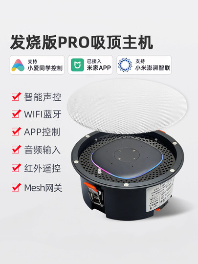 High-End Pro Ceiling Speaker with Built-In Bluetooth and Wifi, Supports Xiao Ai Voice Control for Smart Home Speakers