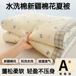 Class a Pure Cotton Quilt Core, Summer Cooling Quilt, Spring and Autumn Quilt, All-Cotton Double-Layer Gauze, Washable, Machine Washable, Air-Conditioning Quilt 3