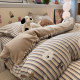 ins Milk Velvet Four-Piece Bedding Set, Bed Sheet, Duvet Cover, Thickened Warm Coral Velvet Flannel Bedding Set 4