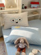 Class a Double-Layer Gauze Four-Piece Set 2026 New Cloud-Soft Gauze Cotton Embroidered Quilt Cover 0.9m Student Dormitory Three-Piece Set 3