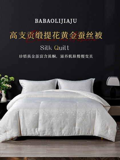Class a Heavy Satin Jacquard Silk Quilt 100% Mulberry Silk Summer Cooling Quilt Air-Conditioning Quilt Quilt Core Two-In-One Quilt